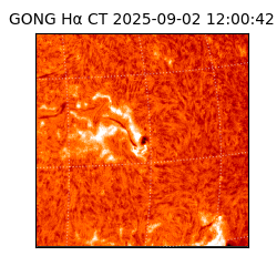 gong - 2025-09-02T12:00:42