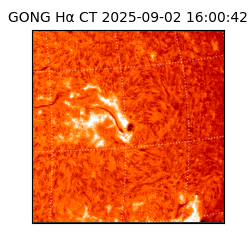 gong - 2025-09-02T16:00:42