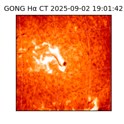 gong - 2025-09-02T19:01:42