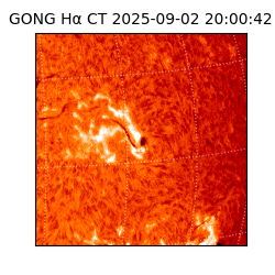 gong - 2025-09-02T20:00:42