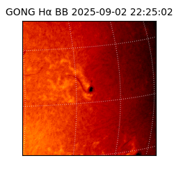 gong - 2025-09-02T22:25:02