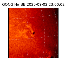 gong - 2025-09-02T23:00:02