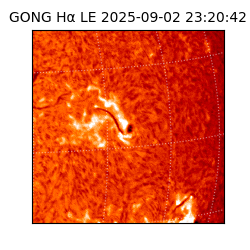 gong - 2025-09-02T23:20:42