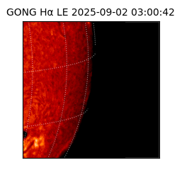 gong - 2025-09-02T03:00:42