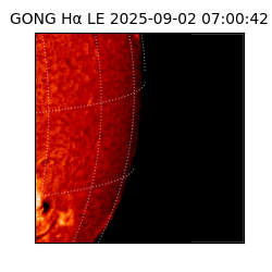 gong - 2025-09-02T07:00:42
