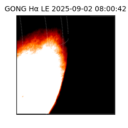 gong - 2025-09-02T08:00:42