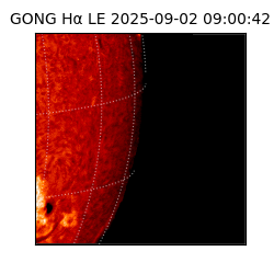 gong - 2025-09-02T09:00:42