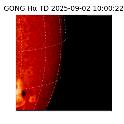 gong - 2025-09-02T10:00:22