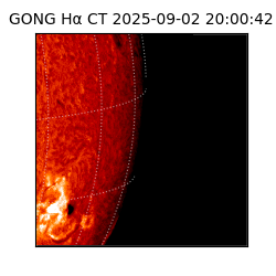 gong - 2025-09-02T20:00:42