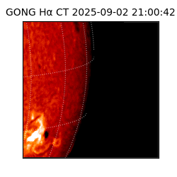 gong - 2025-09-02T21:00:42