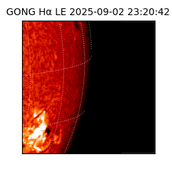gong - 2025-09-02T23:20:42
