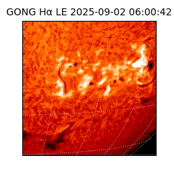 gong - 2025-09-02T06:00:42