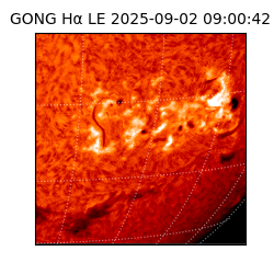 gong - 2025-09-02T09:00:42