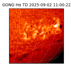 gong - 2025-09-02T11:00:22