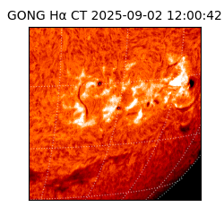 gong - 2025-09-02T12:00:42