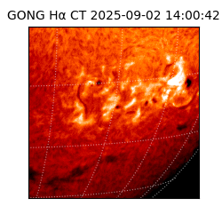 gong - 2025-09-02T14:00:42