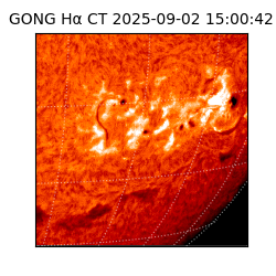 gong - 2025-09-02T15:00:42