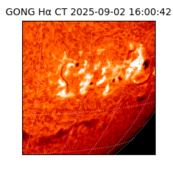 gong - 2025-09-02T16:00:42