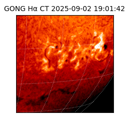 gong - 2025-09-02T19:01:42