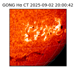 gong - 2025-09-02T20:00:42