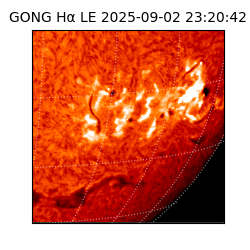 gong - 2025-09-02T23:20:42