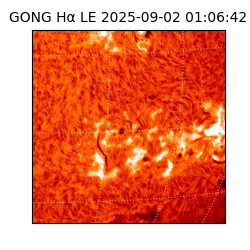 gong - 2025-09-02T01:06:42