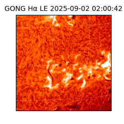 gong - 2025-09-02T02:00:42