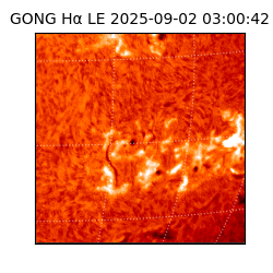 gong - 2025-09-02T03:00:42