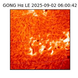 gong - 2025-09-02T06:00:42