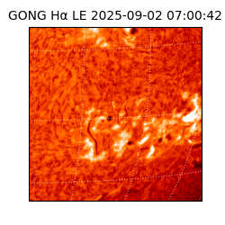 gong - 2025-09-02T07:00:42