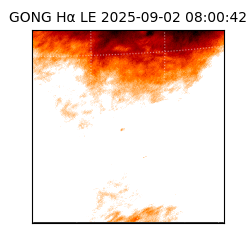 gong - 2025-09-02T08:00:42