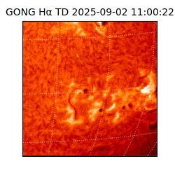 gong - 2025-09-02T11:00:22