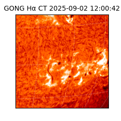 gong - 2025-09-02T12:00:42