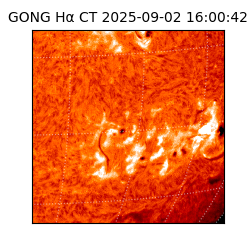 gong - 2025-09-02T16:00:42