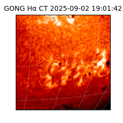 gong - 2025-09-02T19:01:42