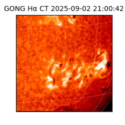gong - 2025-09-02T21:00:42