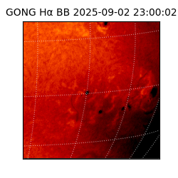 gong - 2025-09-02T23:00:02