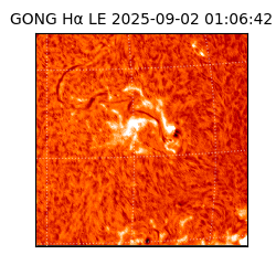 gong - 2025-09-02T01:06:42
