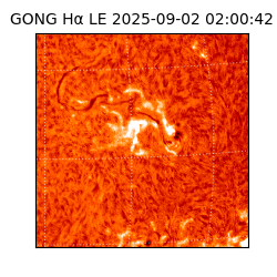 gong - 2025-09-02T02:00:42