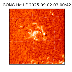 gong - 2025-09-02T03:00:42