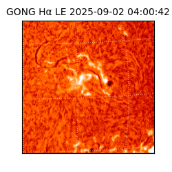 gong - 2025-09-02T04:00:42