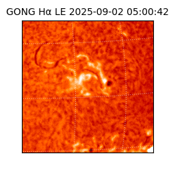 gong - 2025-09-02T05:00:42