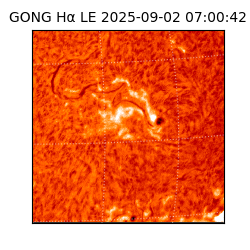 gong - 2025-09-02T07:00:42