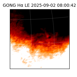 gong - 2025-09-02T08:00:42