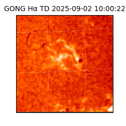 gong - 2025-09-02T10:00:22