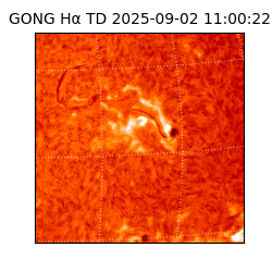 gong - 2025-09-02T11:00:22