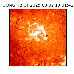 gong - 2025-09-02T19:01:42