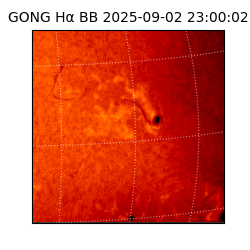 gong - 2025-09-02T23:00:02