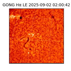 gong - 2025-09-02T02:00:42