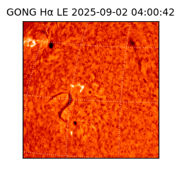 gong - 2025-09-02T04:00:42